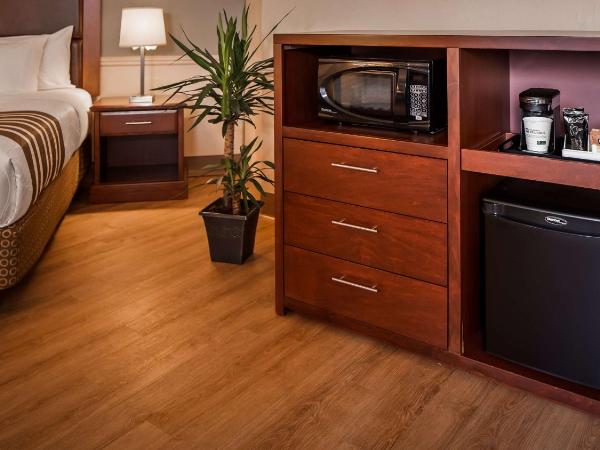 Best Western Plus Ottawa City Centre : photo 2 de la chambre chambre lit king-size avec cheminée