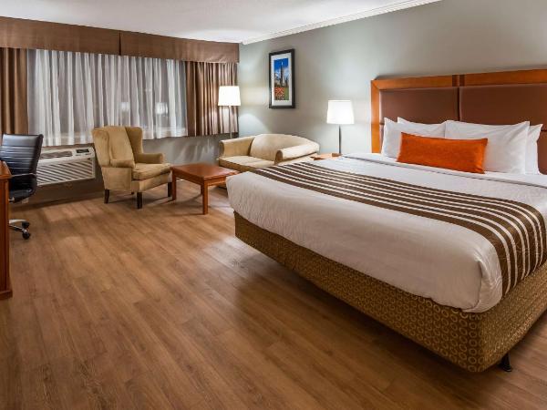 Best Western Plus Ottawa City Centre : photo 1 de la chambre chambre lit king-size