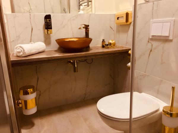 Hotel Glinde : photo 10 de la chambre chambre simple avec douche 