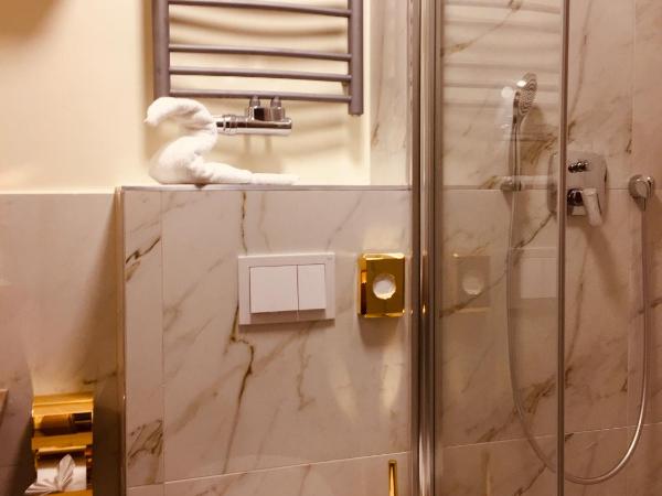 Hotel Glinde : photo 9 de la chambre chambre simple avec douche 