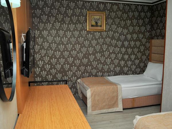 Lion City Hotel Ankara : photo 1 de la chambre chambre lits jumeaux standard