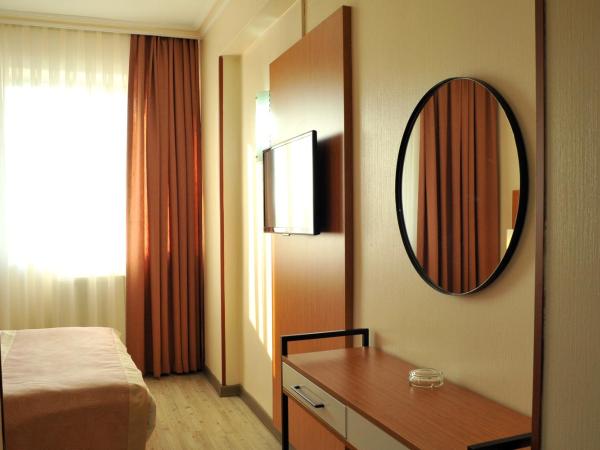 Lion City Hotel Ankara : photo 1 de la chambre chambre simple standard