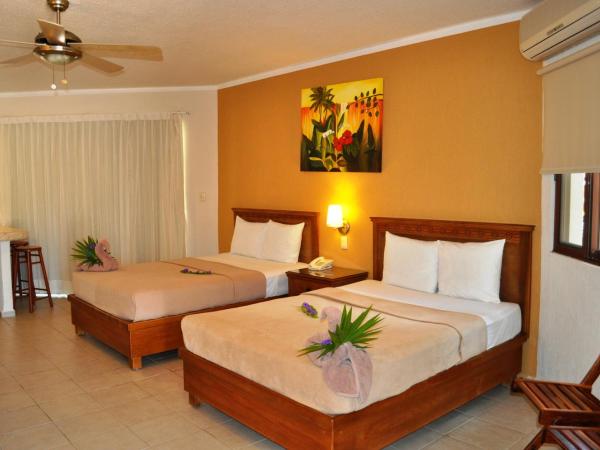 Tecnohotel Mérida Norte : photo 8 de la chambre chambre double ou lits jumeaux - vue sur piscine