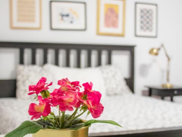 Travel & Live Porto Hostel : photo 3 de la chambre studio avec mezzanine