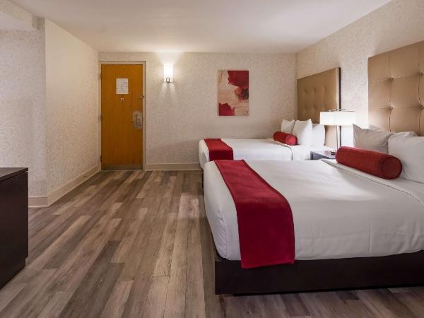 Best Western Plus Montreal Downtown- Hotel Europa : photo 4 de la chambre chambre 2 lits queen-size - non-fumeurs