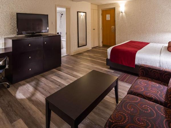 Best Western Plus Montreal Downtown- Hotel Europa : photo 5 de la chambre chambre lit king-size avec canapé-lit queen-size
