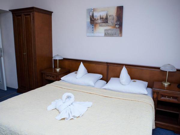 Hotel Baden : photo 5 de la chambre chambre double ou lits jumeaux