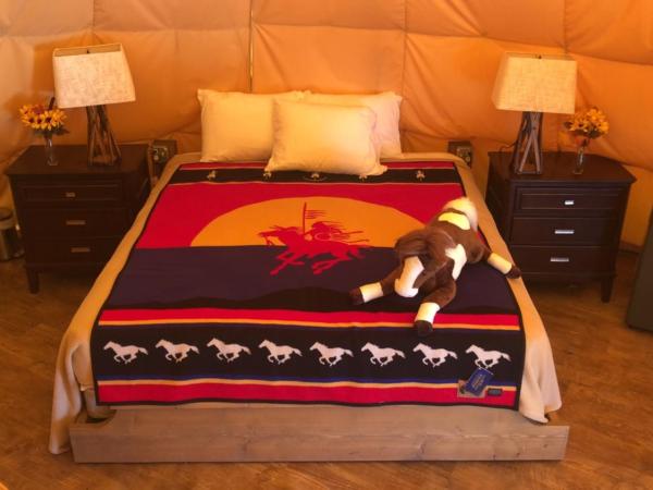 Orr Family Farm & RR, LLC : photo 4 de la chambre tipi