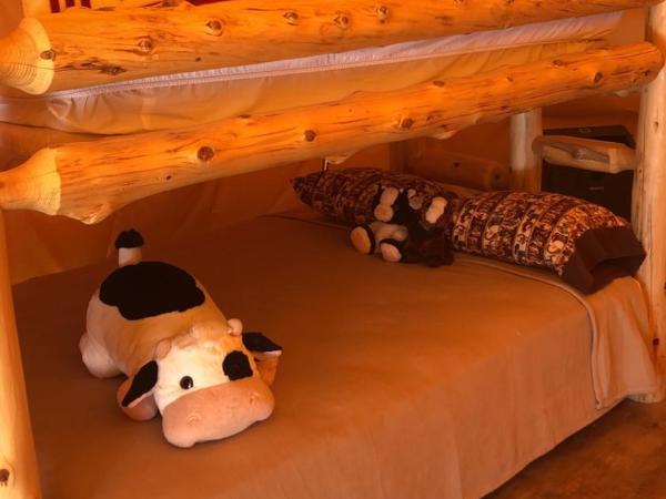 Orr Family Farm & RR, LLC : photo 5 de la chambre tipi