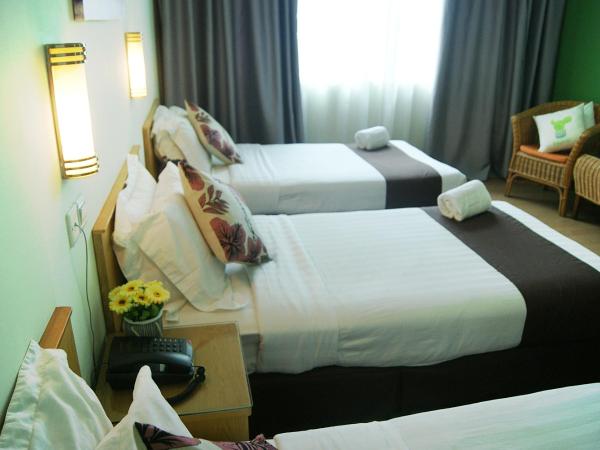 Tang Dynasty Park Hotel : photo 4 de la chambre chambre triple deluxe