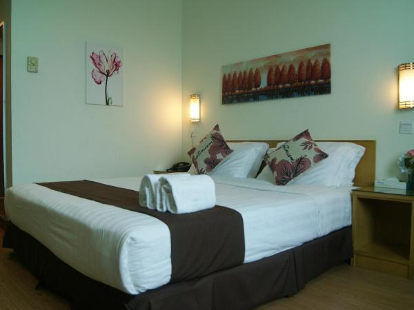 Tang Dynasty Park Hotel : photo 4 de la chambre chambre lit king-size deluxe