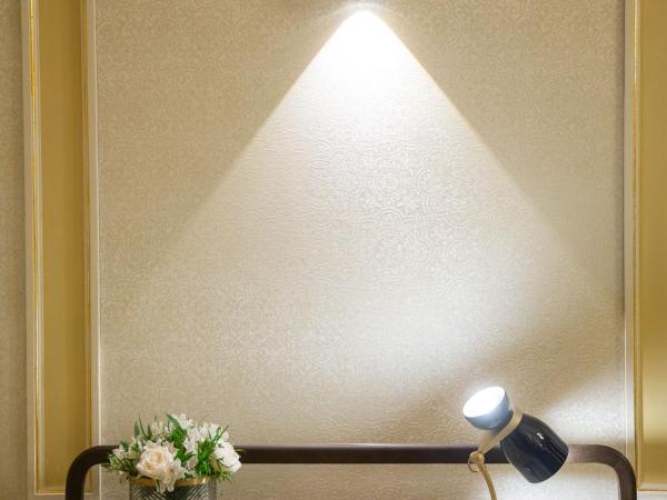 MYR Palacio Vallier : photo 7 de la chambre suite