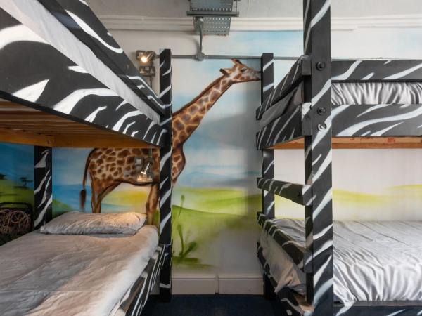 The Full Moon Backpackers : photo 1 de la chambre bunk bed in female dormitory room sleeps 8