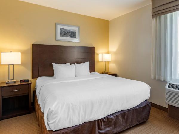 MainStay Suites Near Denver Downtown : photo 6 de la chambre suite lit king-size avec canapé-lit