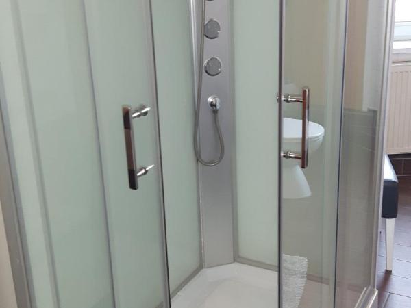Hotel & Pension Plagwitzer Hof : photo 4 de la chambre appartement