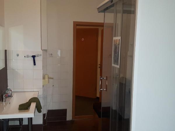 Hotel & Pension Plagwitzer Hof : photo 1 de la chambre appartement