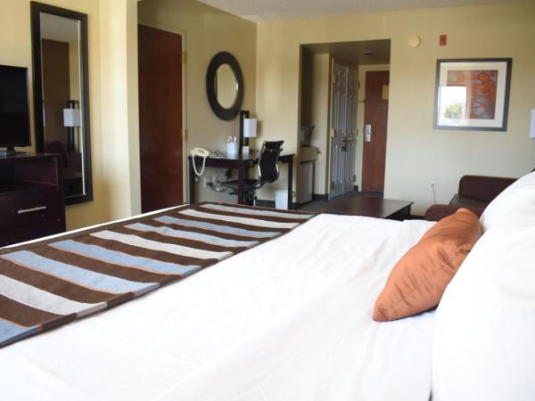 Wingate by Wyndham Oklahoma City Airport : photo 2 de la chambre chambre lit king-size avec canapé-lit - non-fumeurs