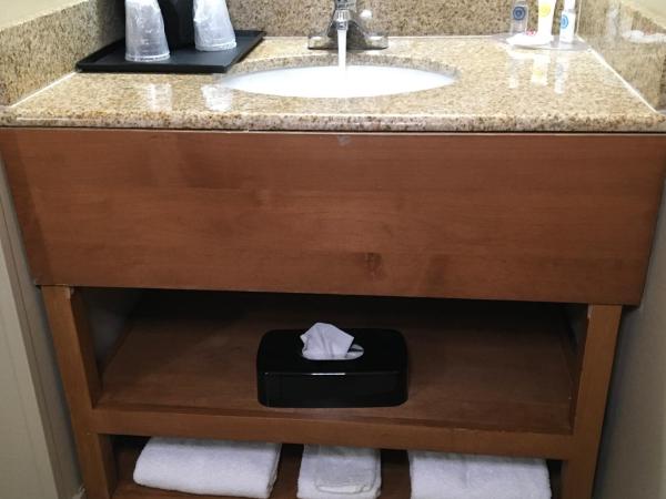 Comfort Inn & Suites near Kino Sports Complex : photo 3 de la chambre chambre lit king-size standard - non-fumeurs 