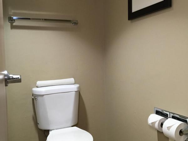 Comfort Inn & Suites near Kino Sports Complex : photo 4 de la chambre chambre lit king-size standard - non-fumeurs 
