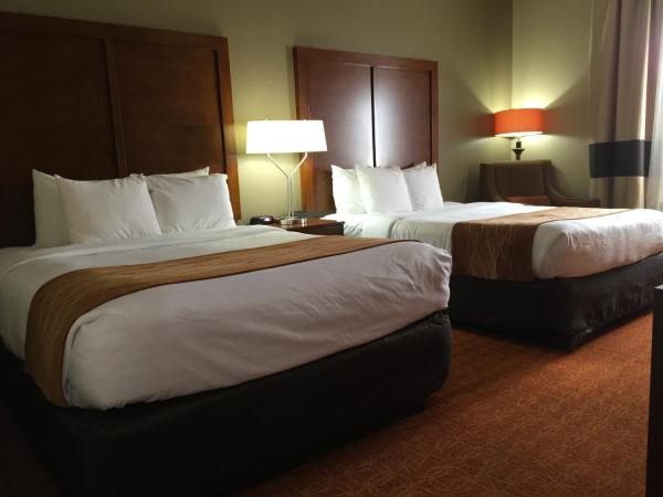 Comfort Inn & Suites near Kino Sports Complex : photo 1 de la chambre chambre 2 lits queen-size - non-fumeurs