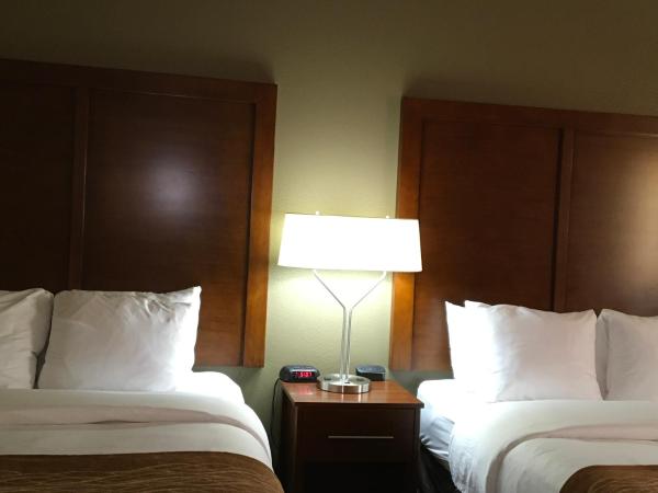 Comfort Inn & Suites near Kino Sports Complex : photo 2 de la chambre chambre 2 lits queen-size - non-fumeurs