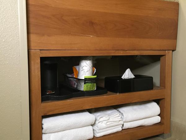 Comfort Inn & Suites near Kino Sports Complex : photo 4 de la chambre chambre 2 lits queen-size - non-fumeurs