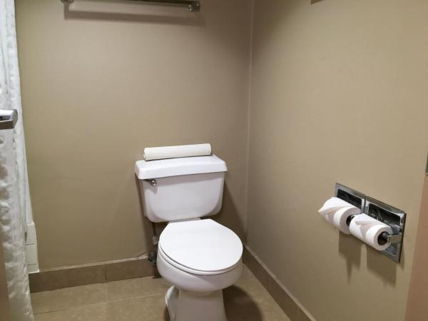 Comfort Inn & Suites near Kino Sports Complex : photo 5 de la chambre chambre 2 lits queen-size - non-fumeurs