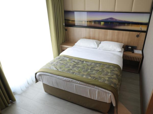 RADAR HOTEL : photo 5 de la chambre chambre double ou lits jumeaux standard