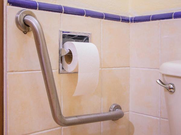 Hotel Casa Barrocco Oaxaca : photo 8 de la chambre chambre double - accessible aux personnes à mobilité réduite