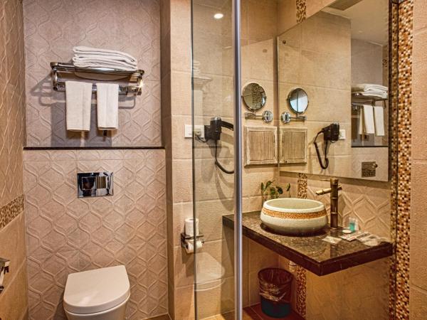 Arushi Boutique Hotel : photo 5 de la chambre chambre double ou lits jumeaux deluxe - 15 % de réduction sur la nourriture et les boissons ainsi que sur le sauna et le hammam