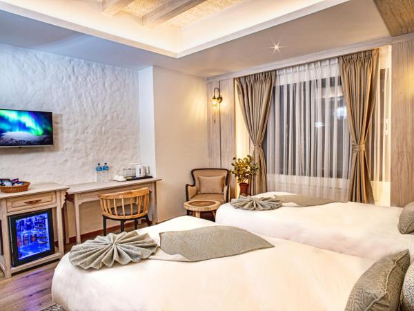 Arushi Boutique Hotel : photo 3 de la chambre chambre double ou lits jumeaux deluxe - 15 % de réduction sur la nourriture et les boissons ainsi que sur le sauna et le hammam