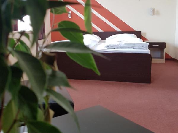 City Hotel Agoston : photo 10 de la chambre chambre lits jumeaux standard