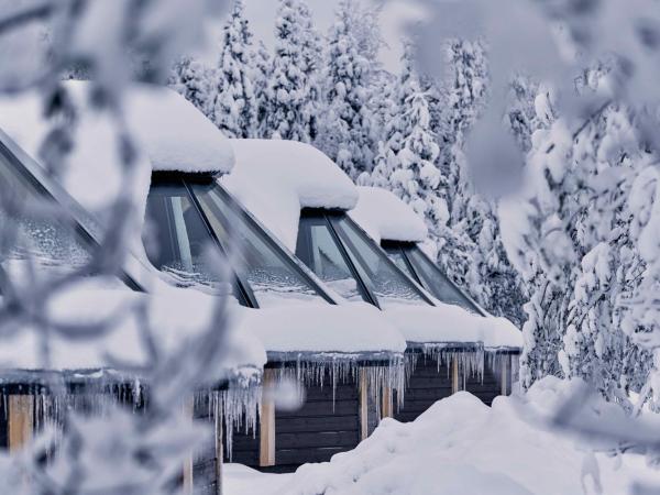 Northern Lights Village Levi : photo 3 de la chambre chalet aurora