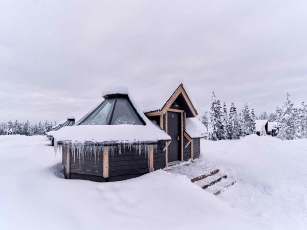 Northern Lights Village Levi : photo 10 de la chambre chalet aurora