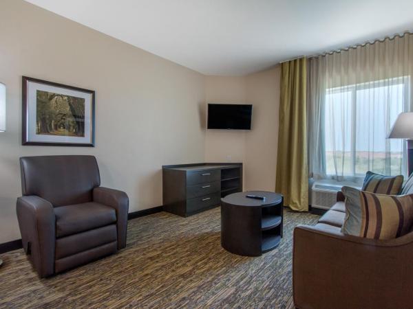 Candlewood Suites - San Antonio Lackland AFB Area, an IHG Hotel : photo 5 de la chambre suite 1 chambre lit king-size avec canapé-lit