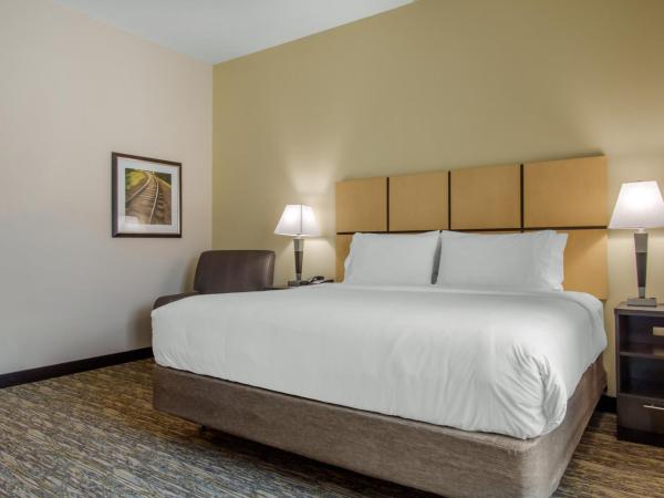 Candlewood Suites - San Antonio Lackland AFB Area, an IHG Hotel : photo 1 de la chambre suite studio lit king-size
