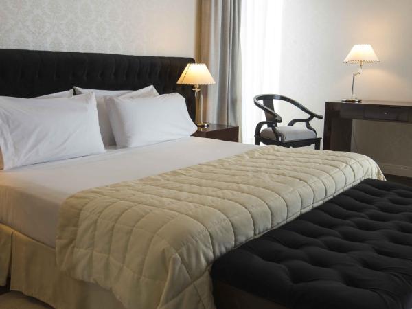 Holiday Inn Rosario, an IHG Hotel : photo 2 de la chambre one king bed junior suite non-smoking