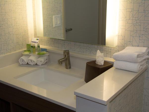 Holiday Inn Express Salt Lake City Downtown, an IHG Hotel : photo 3 de la chambre chambre standard