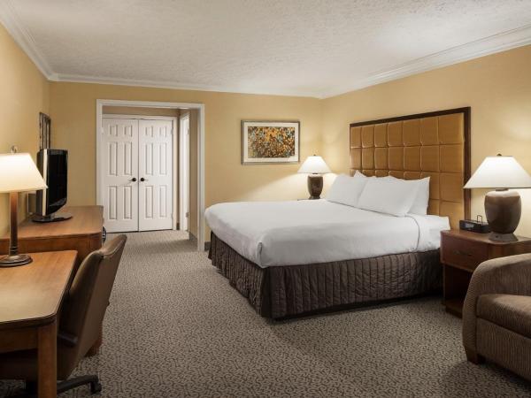 Crowne Plaza Louisville Airport Expo Center, an IHG Hotel : photo 1 de la chambre chambre lit king-size premium