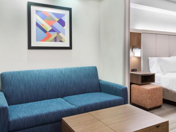 Holiday Inn Express & Suites - Nearest Universal Orlando, an IHG Hotel : photo 7 de la chambre suite lit king-size – non-fumeurs