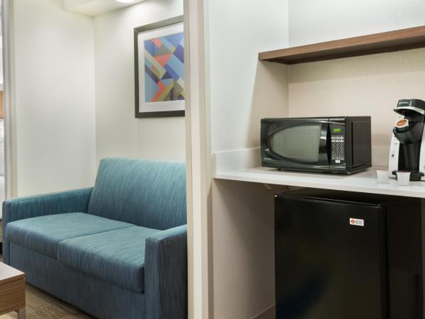 Holiday Inn Express & Suites - Nearest Universal Orlando, an IHG Hotel : photo 3 de la chambre suite lit king-size avec canapé-lit - non-fumeurs