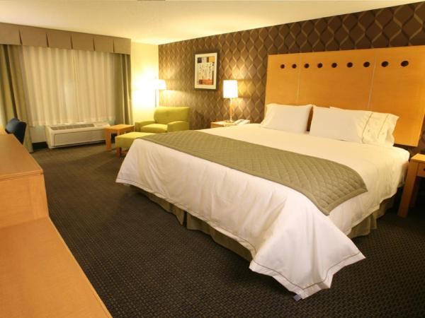 Holiday Inn Express & Suites Monterrey Aeropuerto, an IHG Hotel : photo 3 de la chambre chambre lit king-size standard