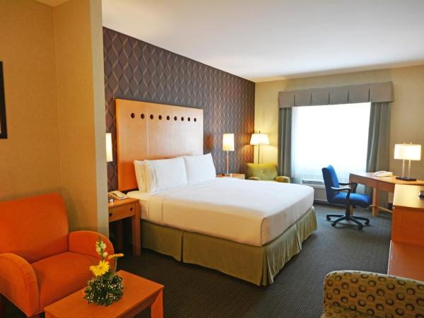 Holiday Inn Express & Suites Monterrey Aeropuerto, an IHG Hotel : photo 5 de la chambre suite lit king-size