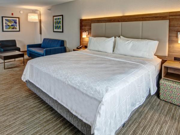 Holiday Inn Express Hotel & Suites Memphis Southwind, an IHG Hotel : photo 2 de la chambre suite lit king-size – non-fumeurs