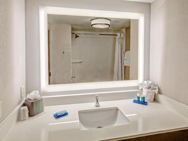 Holiday Inn Express Hotel & Suites Memphis Southwind, an IHG Hotel : photo 2 de la chambre chambre lit king-size standard