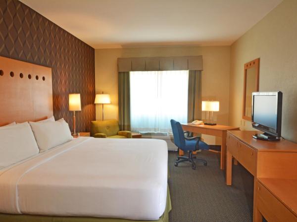 Holiday Inn Express & Suites Monterrey Aeropuerto, an IHG Hotel : photo 2 de la chambre chambre standard