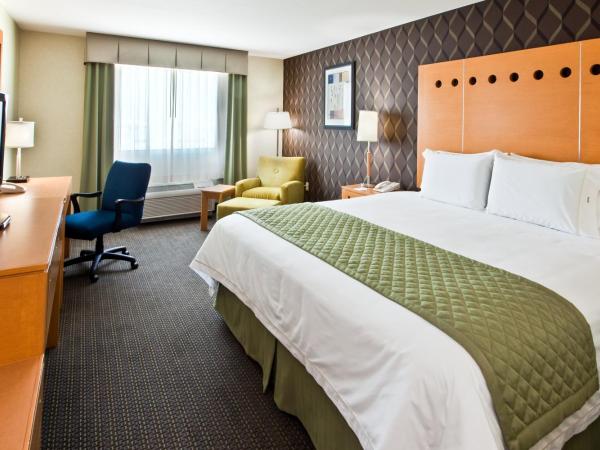 Holiday Inn Express & Suites Monterrey Aeropuerto, an IHG Hotel : photo 1 de la chambre chambre standard