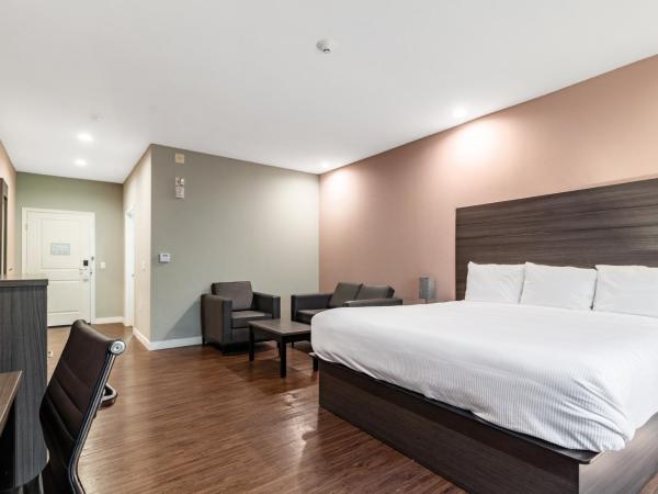 Scottish Inns & Suites Houston, TX : photo 7 de la chambre chambre simple standard - non-fumeurs