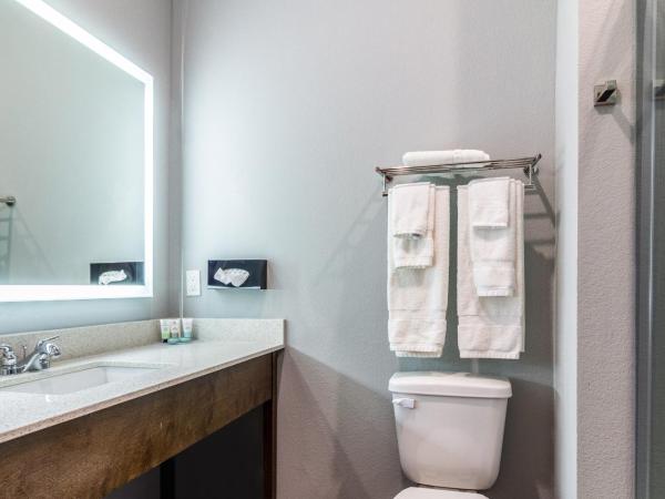 Scottish Inns & Suites Houston, TX : photo 9 de la chambre chambre simple standard - non-fumeurs