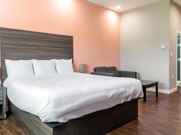 Scottish Inns & Suites Houston, TX : photo 10 de la chambre chambre simple standard - non-fumeurs